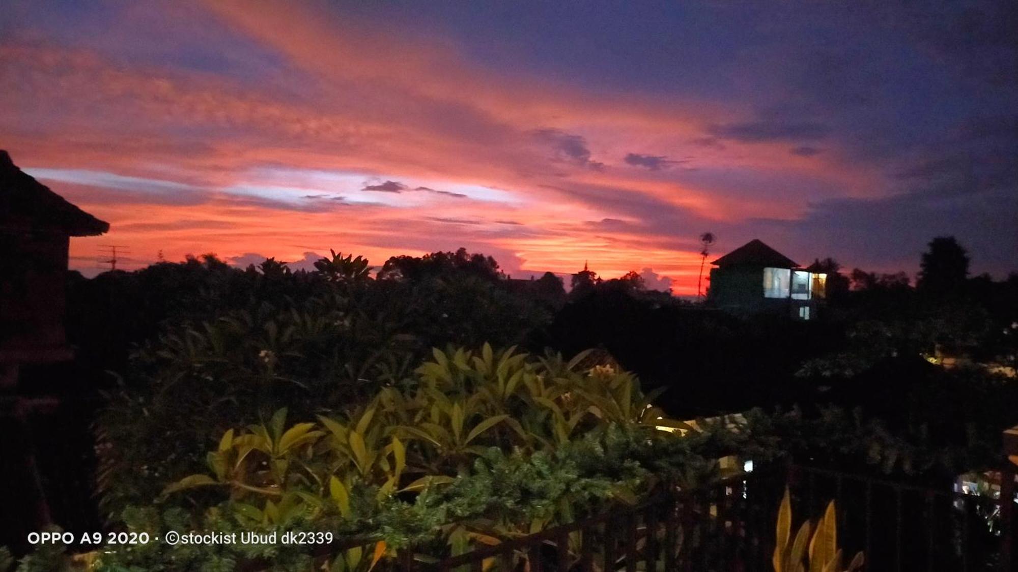 Danu House Ubud Экстерьер фото